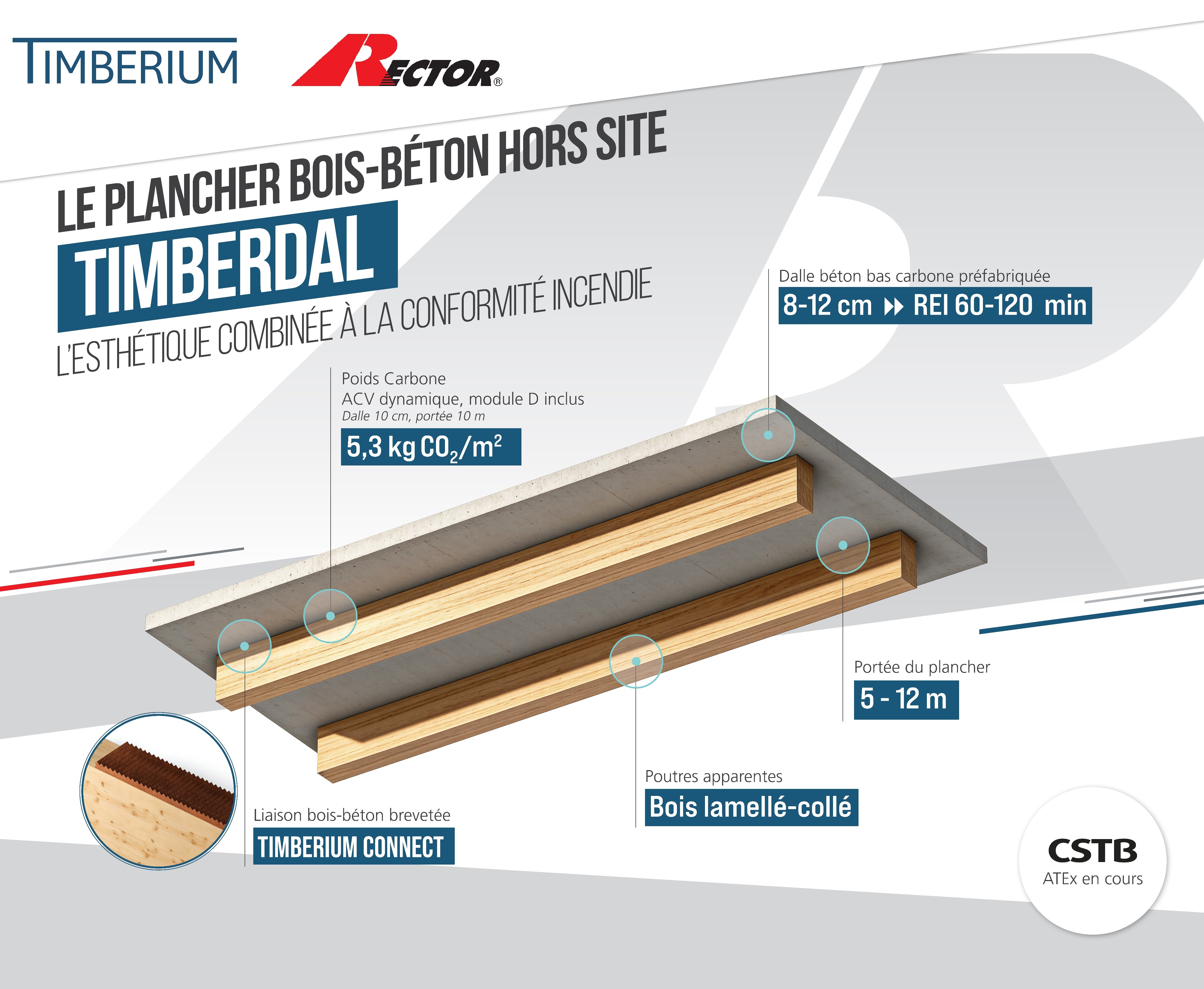 Infographie Timberdal, plancher bois-béton hors site Rector Timberium : dalle béton bas carbone préfabriquée 8 à 12 cm pour REI 60 à 120 min, poids carbone 5,3 kg CO2 par m², portée 5 à 12 m, poutres apparentes en bois lamellé-collé, liaison bois-béton brevetée Timberium Connect, ATEx CSTB en cours